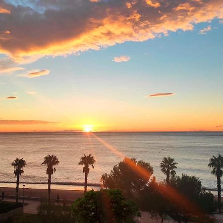 Sunrise Estudio Zebra, Con Vistas Jardin Y Mar Miami Playa Dış mekan fotoğraf