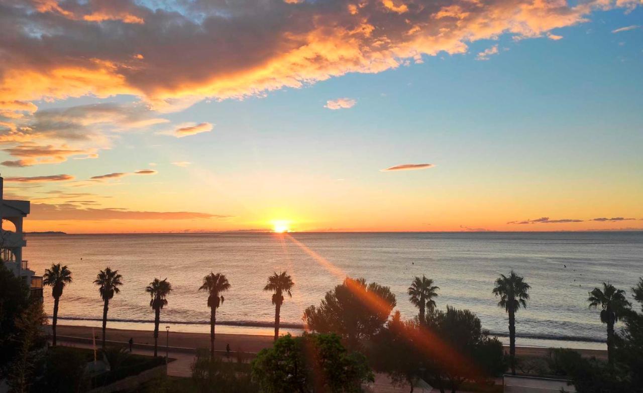 Sunrise Estudio Zebra, Con Vistas Jardin Y Mar Miami Playa Dış mekan fotoğraf